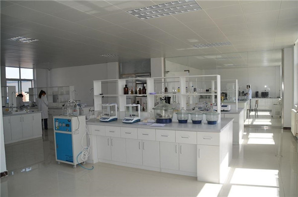 лаборатория (2)